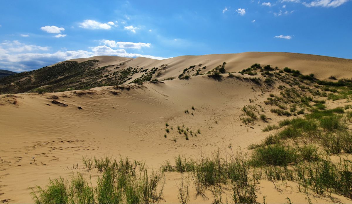 Каникулы в дагестане